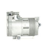 Air conditioning compressor with sealing ring MAHLE for...
