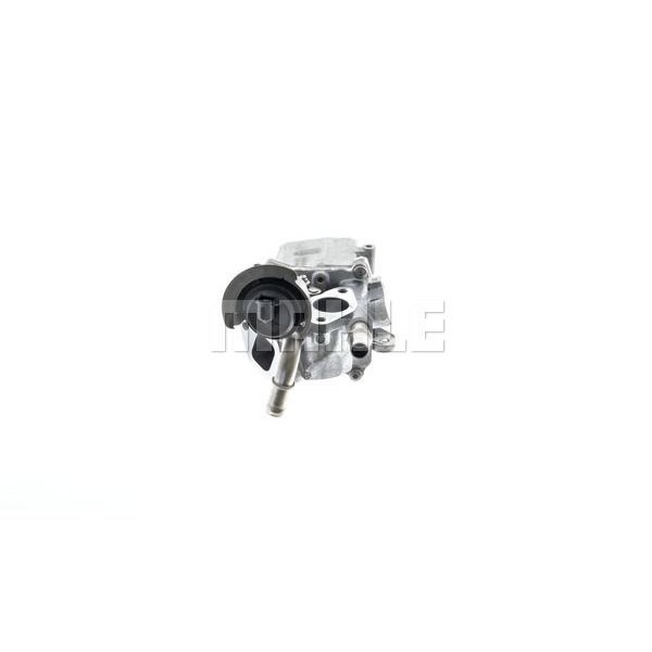 Cooler exhaust gas recirculation with EGR valve MAHLE for RENAULT MASTER III Box (FV)