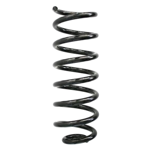 SPIDAN 86704 Fahrwerksfeder hinten