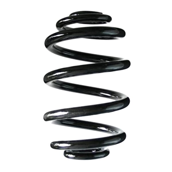 Suspension Spring Rear Axle Mini Block SPIDAN for BMW 3er...