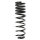 Suspension Spring Rear Axle Coil spring with inconstant wire diameter SPIDAN for VW Passat Variant