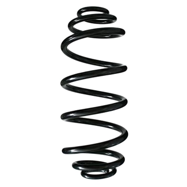 SPIDAN 55972 Fahrwerksfeder hinten