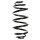 Suspension Spring Rear Axle Coil spring with inconstant wire diameter SPIDAN