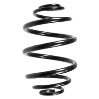SPIDAN 48720 Fahrwerksfeder hinten