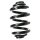Suspension Spring Rear Axle Coil spring with inconstant wire diameter SPIDAN