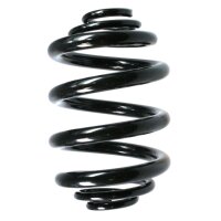 SPIDAN 49764 Fahrwerksfeder hinten