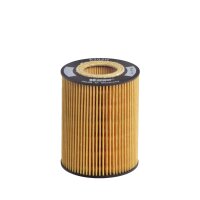 Ölfilter Filtereinsatz HENGST für BMW X5