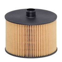 Kraftstofffilter Filtereinsatz HENGST für FORD...