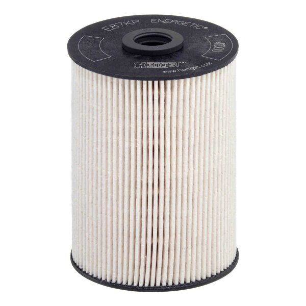 Kraftstofffilter Filtereinsatz HENGST für VW GOLF V