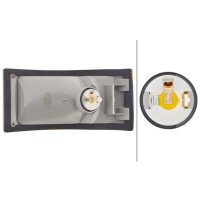 Indicator light, rear right 24 V P21W halogen HELLA