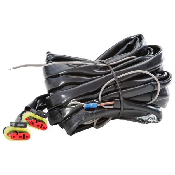 Leitungssatz HELLA für DAF SCANIA HYMER LORINSER