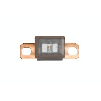 Sicherung PAL-Blocksicherung Serie2 70 A JASO 0612 HELLA...