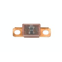 Fuse PAL block fuse series2 30 A JASO 0612 HELLA for...
