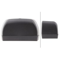 Licence plate light right 12 V R10W halogen crystal clear HELLA