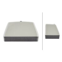 Licence plate lamp left 12 V R10W halogen crystal clear HELLA